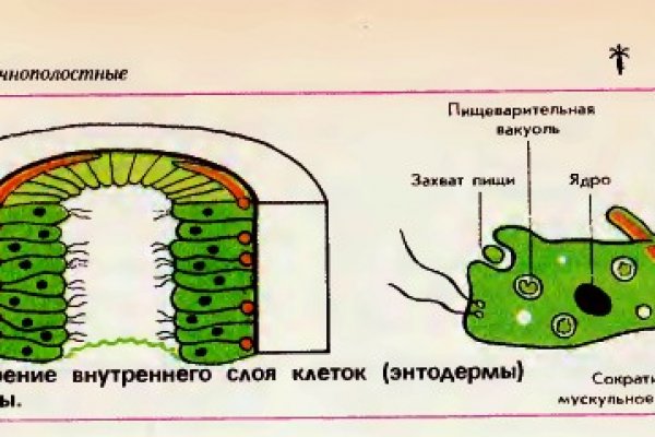 Новые омг